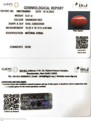 6.57/CT Natural Red Coral With Govt. Lab Certificate (8200)